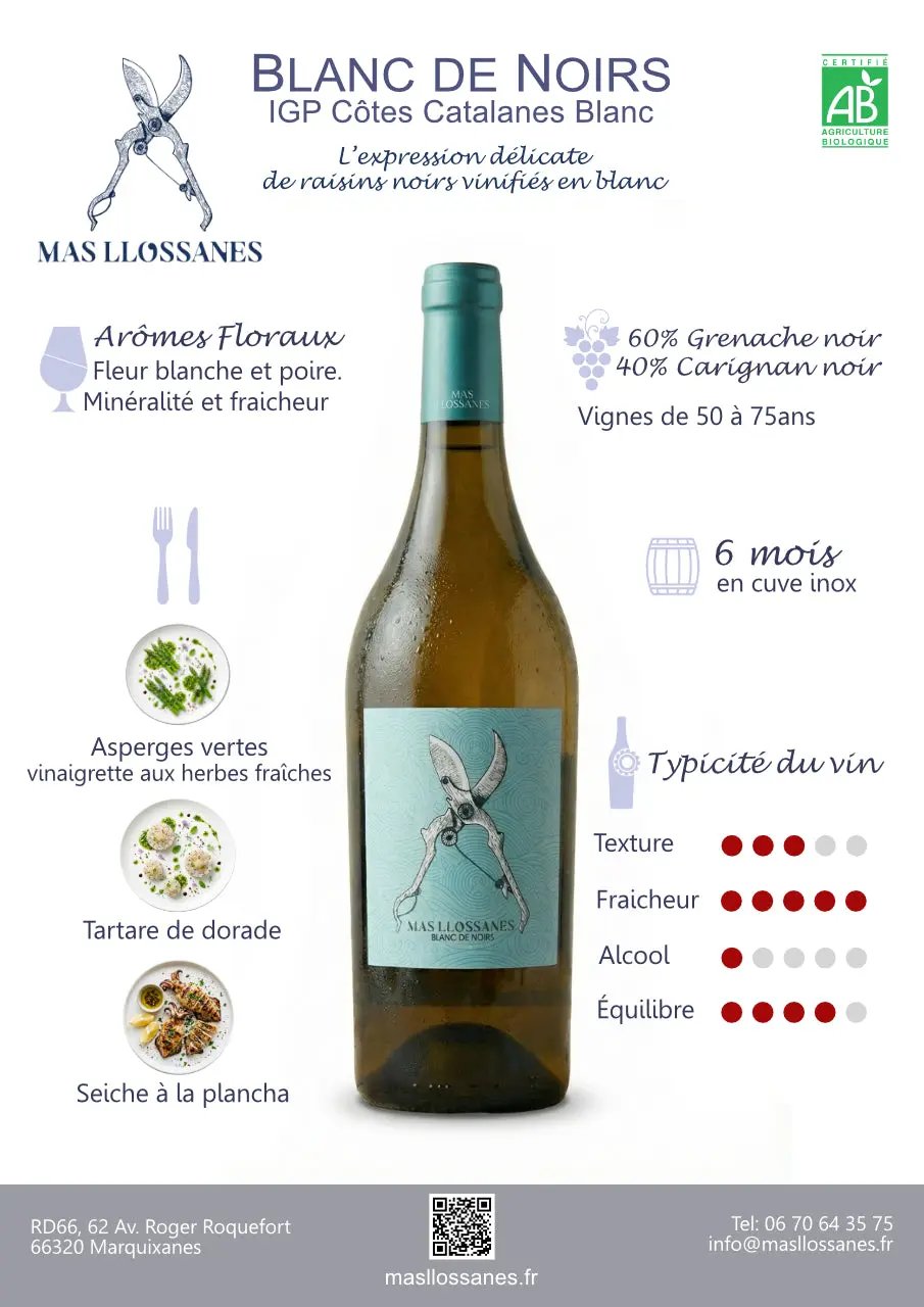 Fiche technique blanc de noirs
