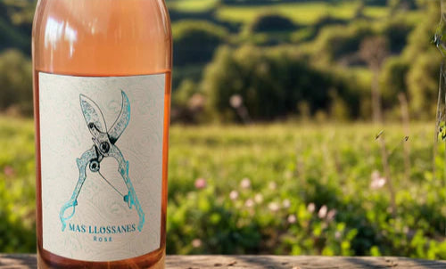 bouteille de rosé et fond de nature