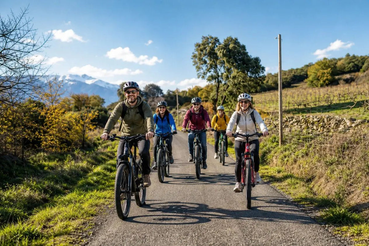 vignoble vélo electrique