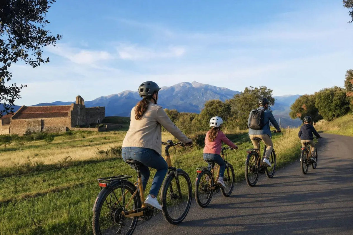 E-Bike & Wine Tour – Entre Canigou, patrimoine et vins d’altitude - Domaine Mas Llossanes
