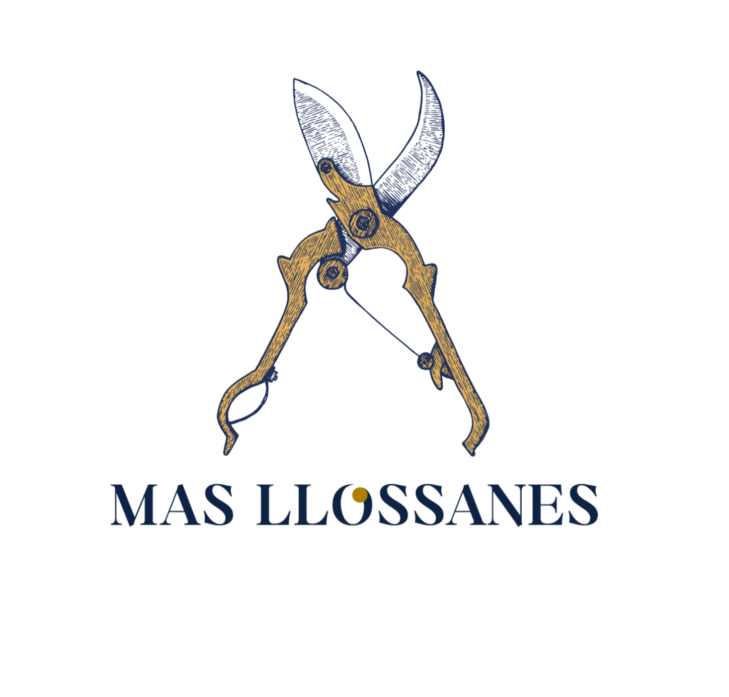 Domaine Mas Llossanes